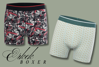 Men's Boxer