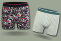 Men's Boxer